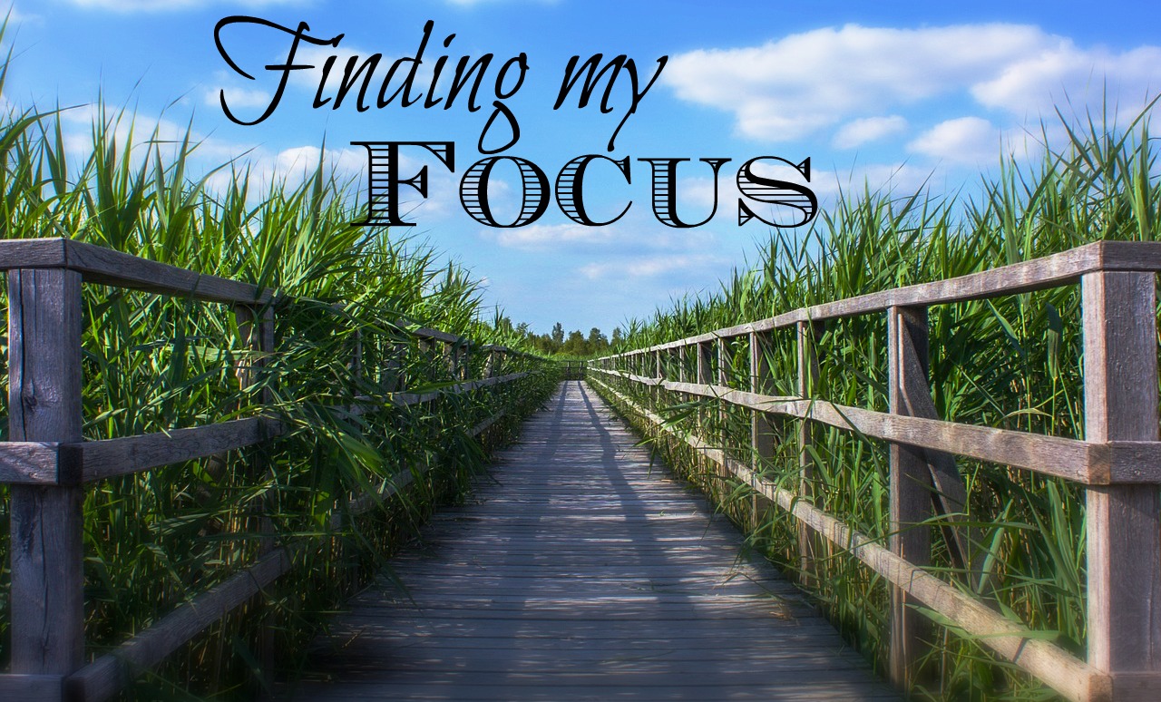 finding-my-focus